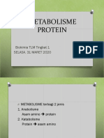Metabolisme Protein 310320