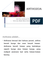 ANTHOZOA.pptx
