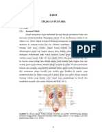 BAB II Tinjauan Pustaka PDF