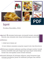 Lipid Lemak PDF