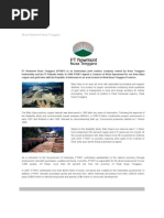 Download About Newmont Nusa Tenggara by Euthalia Rachel SN45415117 doc pdf
