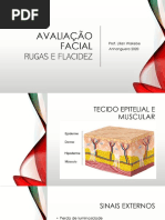 Avaliação Rugas Flacidez ppp