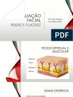 Avaliação Rugas Flacidez PPP