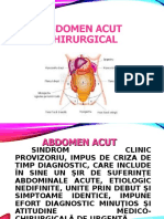 Sabina Abdomen Acut Chirurcical