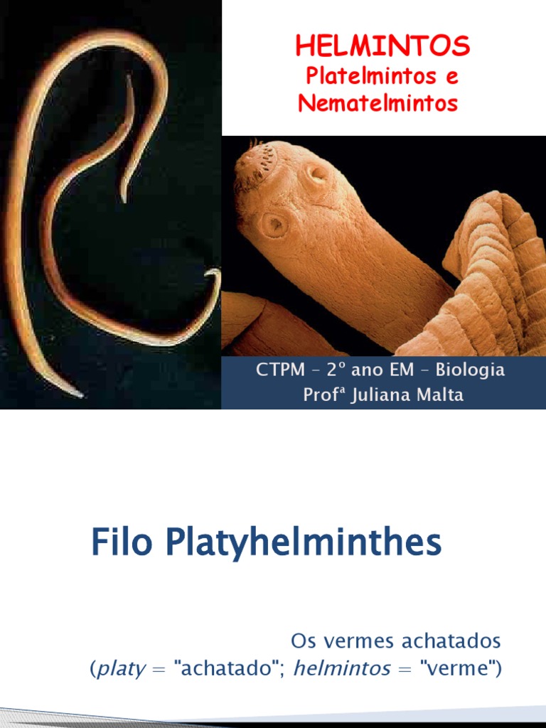 Aula Sobre Helmintos - Platelmintos e Nematelmintos | PDF | Nematoda ...