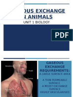 Gaseous Exchange in Animals