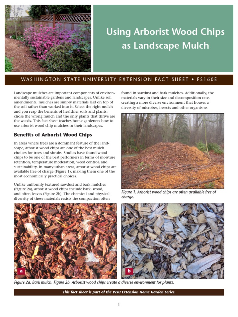 Using Arborist Wood Chips PDF Mulch Weed