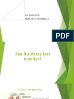 PPT Stresstest Monitor