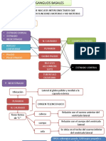 Nucleosbasales. Neuro