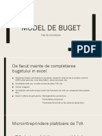 Buget PDF