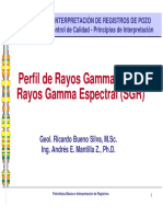 Cap03 Registro GR PDF