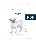 Angie PUG PDF