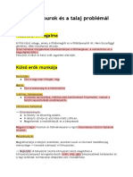 A Kőzetburok És A Talaj Problémái PDF