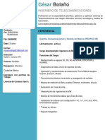 CV PDF