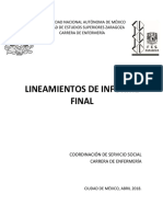 LineamientosInformeFinalSS2018 PDF