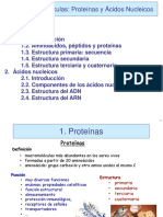 PROY Y AC NUCL.pdf