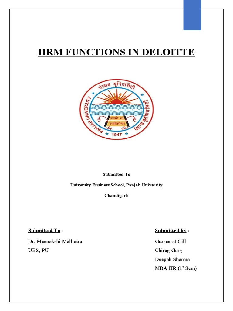 hrm-functions-in-deloitte-pdf-business-economies