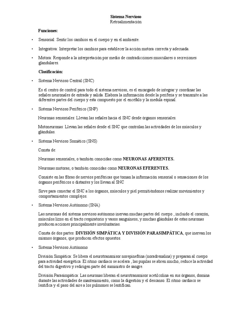 Funciones y Estructura del Sistema Nervioso | PDF | Sinapsis | Neurona