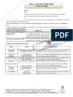 Analyse Du Bilan PDF