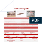 4.6 TS Chinese Squid en PDF