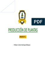 PRODUCCIÓN DE PLANTAS 2020