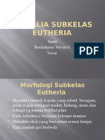 Kelompok 9 Mamalia Subkelas Eutheria.pptx