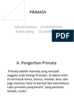 Kelompok 11 Primata (Prosimi, Tarsius, Simi)