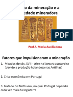 A FORMAÇÃO DO CICLO DE MINERAÇÃO E SOCIEDADE.pdf