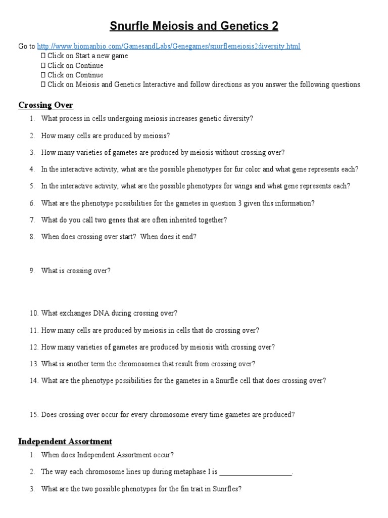 snurfle-meiosis-and-genetics-2-worksheet-pdf-meiosis-genetics