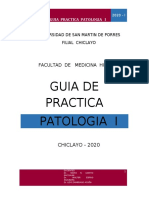 Guia Pract Pato I - 2020