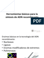 enzimas de restriccion 2 parte.pdf