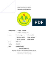 8_Sheilla Safitri_Jaringan pada Tumbuhan.docx