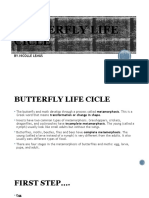 BUTTERFLY LIFE  CICLE