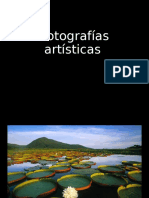 Fotografias Artisticas