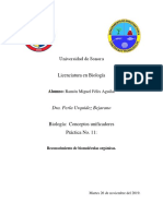 Practica Biomoleculas Ramon Felix