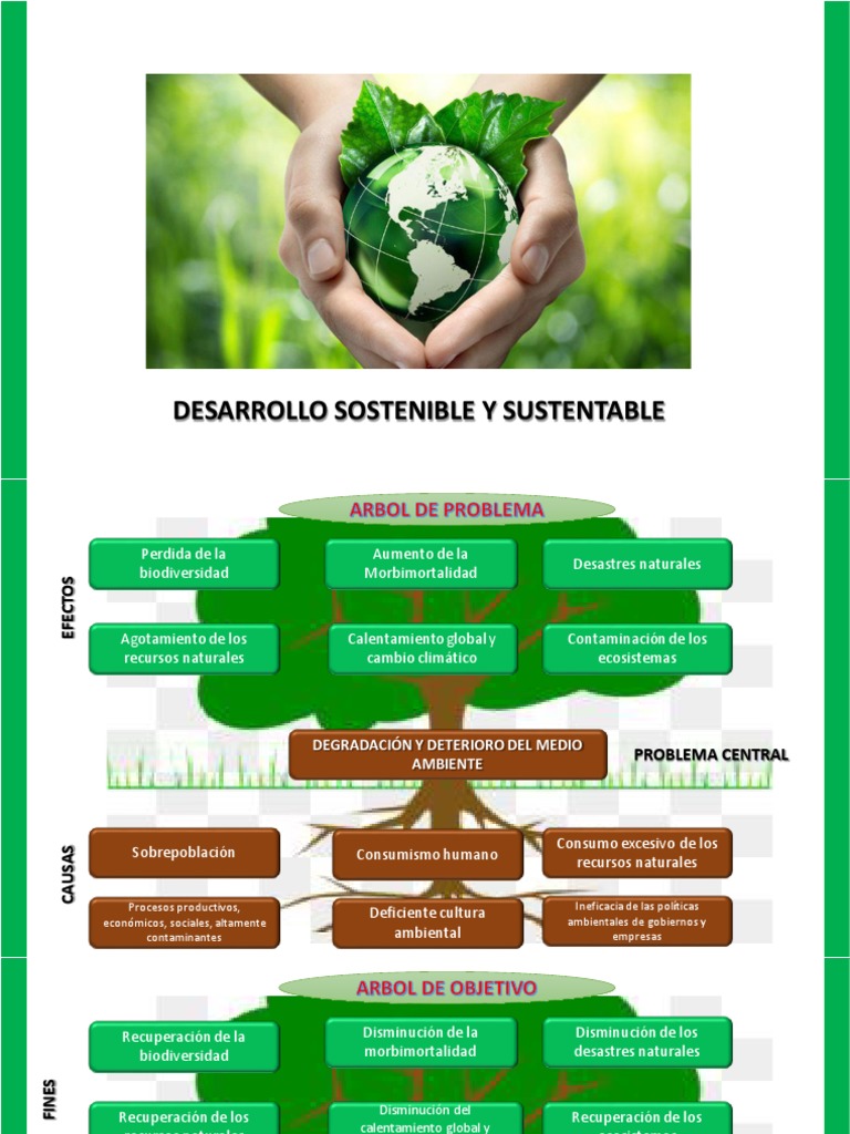 Desarrollo Sostenible y Medio Ambiente | PDF | Entorno natural ...