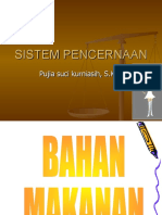 Sistem-Pencernaan