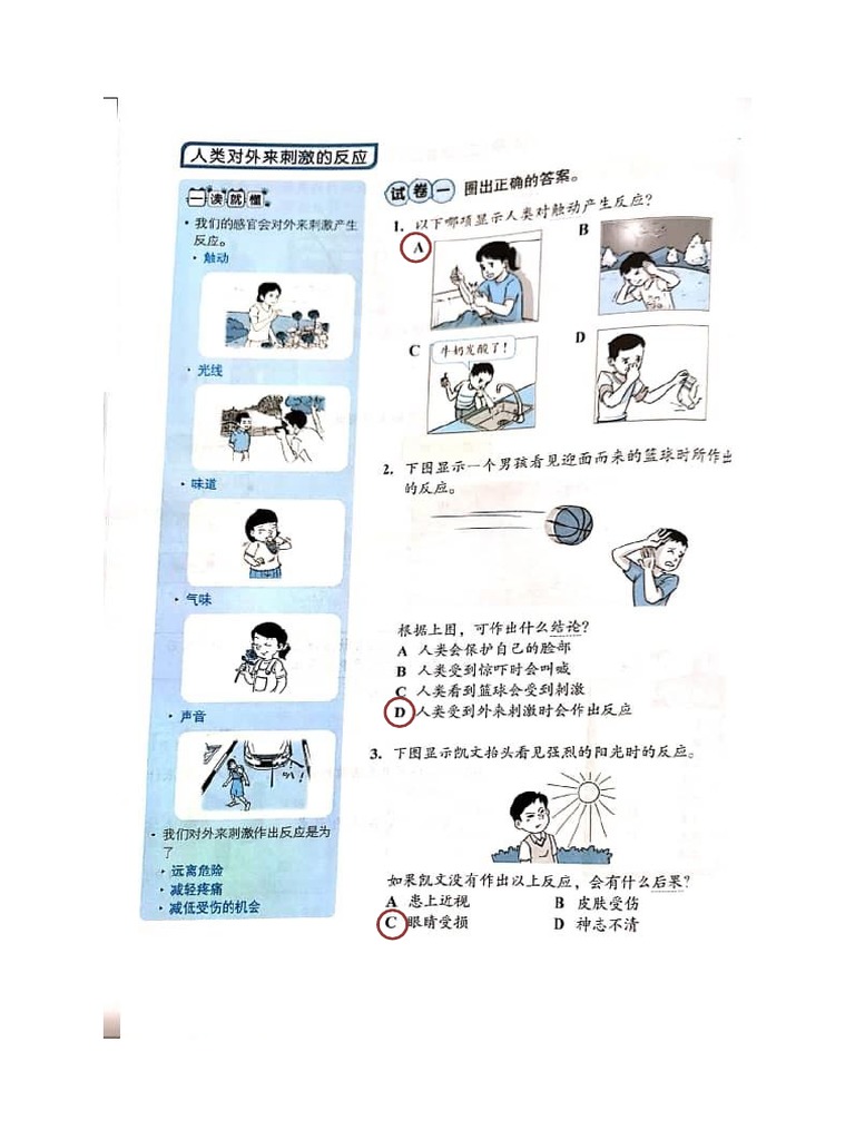 答案人类对外来刺激作出反应作业