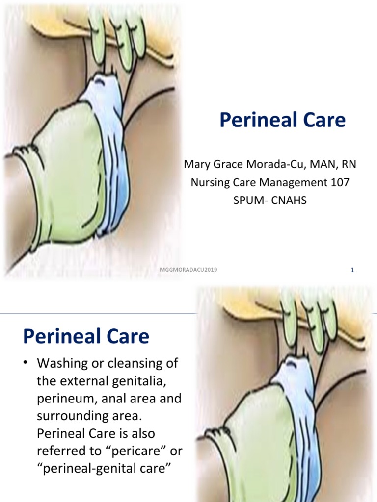 Perineal Care | PDF | Patient | Medicine