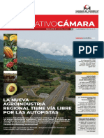 Informarivo_Camara_2020.pdf