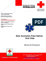 Manual Seis Acciones PDF