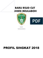 Presentasi Ke Bupati