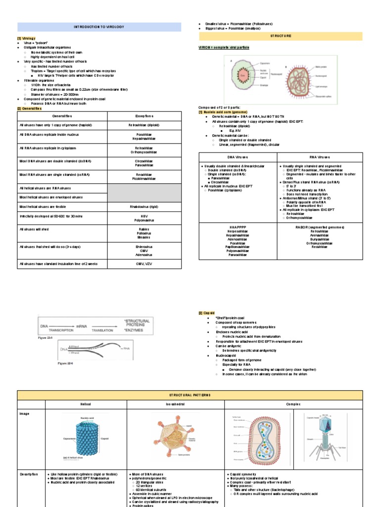 Naked vs Enveloped Viruses Explained | PDF | Virus | Retrovirus