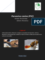 Parvovirus Canino (PVC)