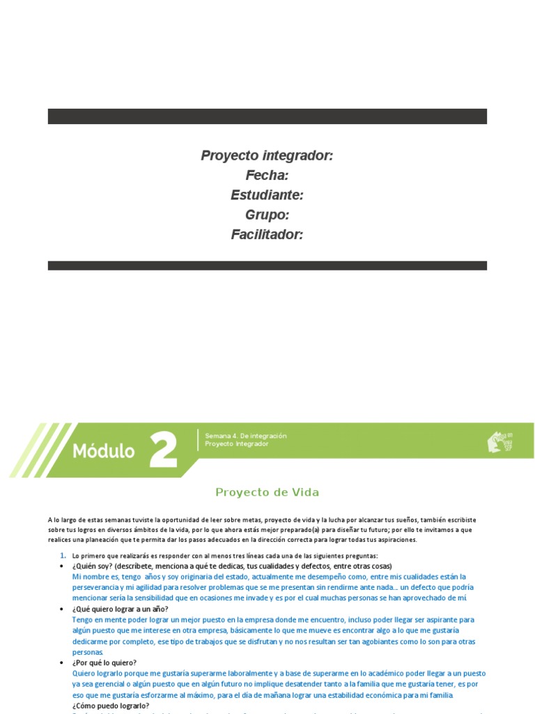 Proyecto Integrador Modulo 2 | PDF | Ocio | Internet
