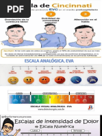 Escala Cpot | PDF