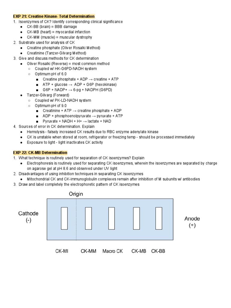 Lab Sheets CK and CKMB PDF