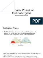 Follicular Phase of Ovarian Cycle