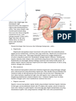 Liver Anatomy