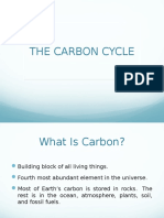 Carbon Cycle